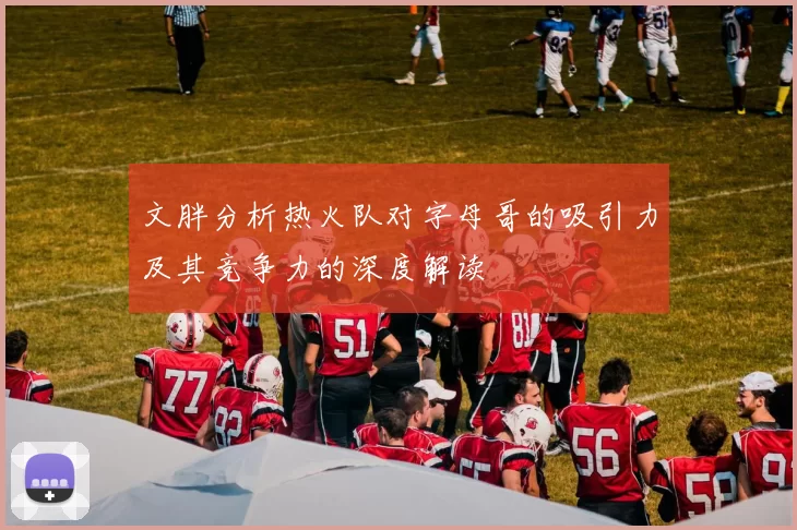 文胖分析热火队对字母哥的吸引力及其竞争力的深度解读