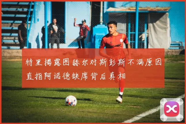 特里揭露图赫尔对斯彭斯不满原因直指阿诺德缺席背后真相